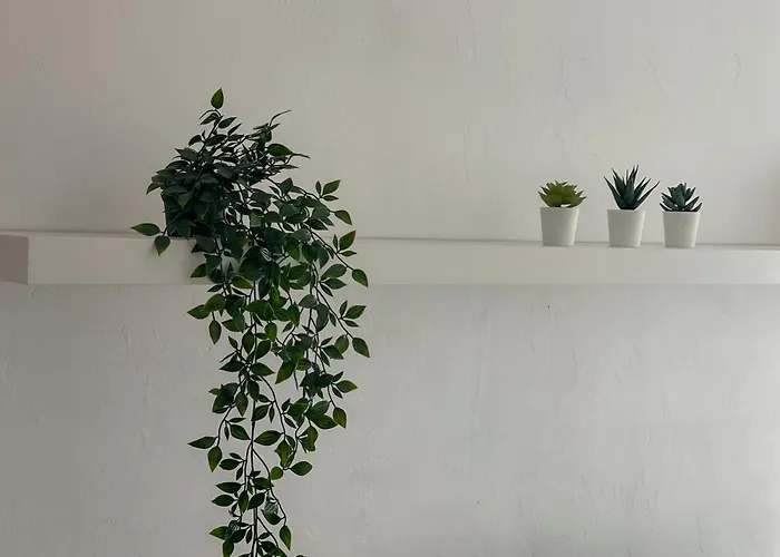 La Casa De San Nicolas *